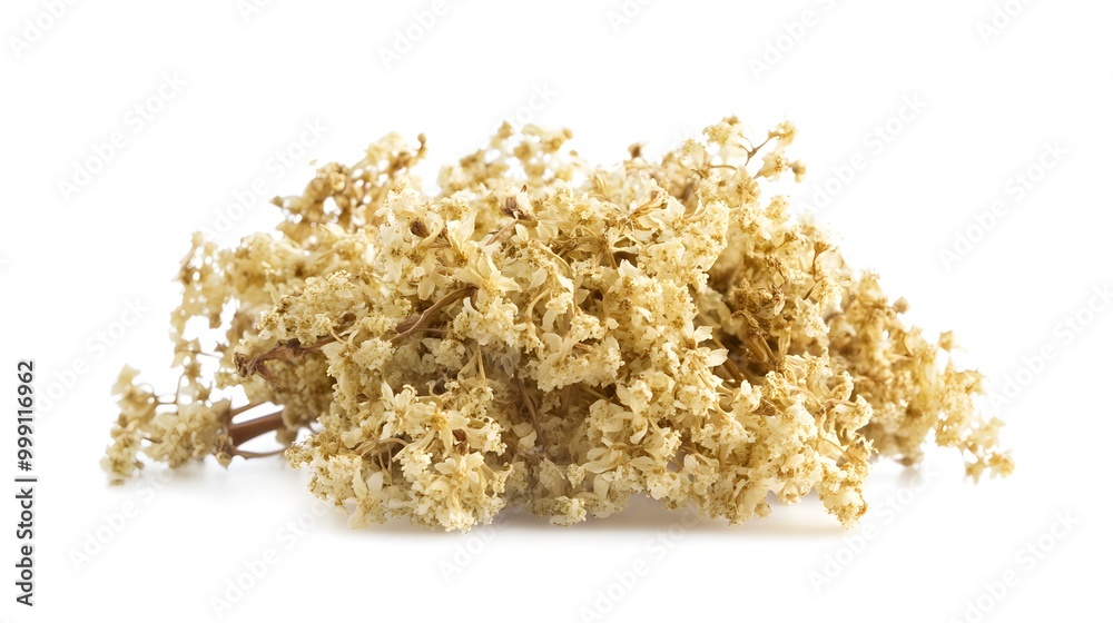 An isolated stack of dried elderflowers on a white background An isolated stack of dried elderflowers on a white background