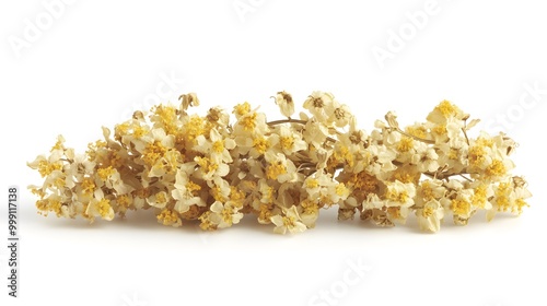 An isolated stack of dried elderflowers on a white background