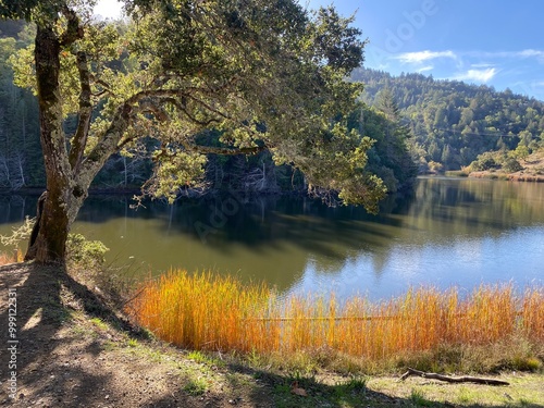 Принти на полотні Lake in autumn