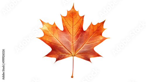 Autumnal maple leaf with vibrant red hues, isolated on a crisp white background