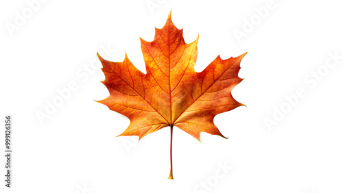 Autumnal maple leaf with vibrant red hues, isolated on a crisp white background