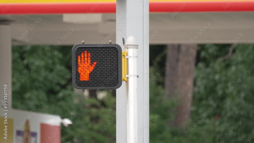 Crosswalk traffic signal with countdown