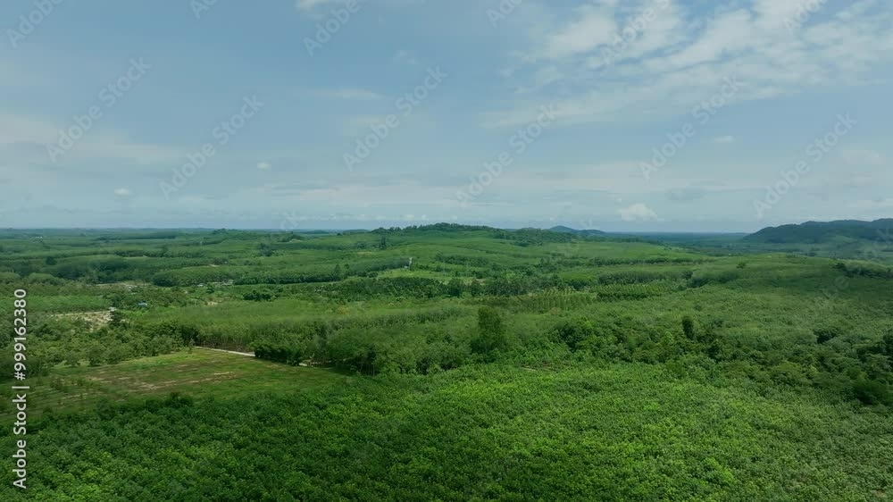 Aerial View of Expansive Green Fields and Hills in Rural Area During Summer, Showcasing Nature's Beauty and Agricultural Land Aerial View of Expansive Green Fields and Hills in Rural Area During Summer, Showcasing Nature's Beauty and Agricultural Land