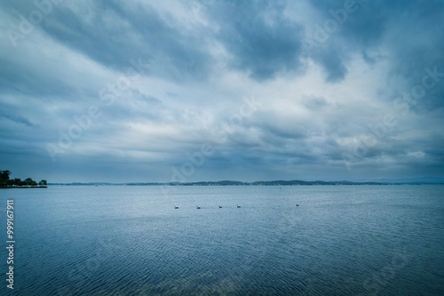 The photo shows a lakeside view located in Ken Lambkin Reserve