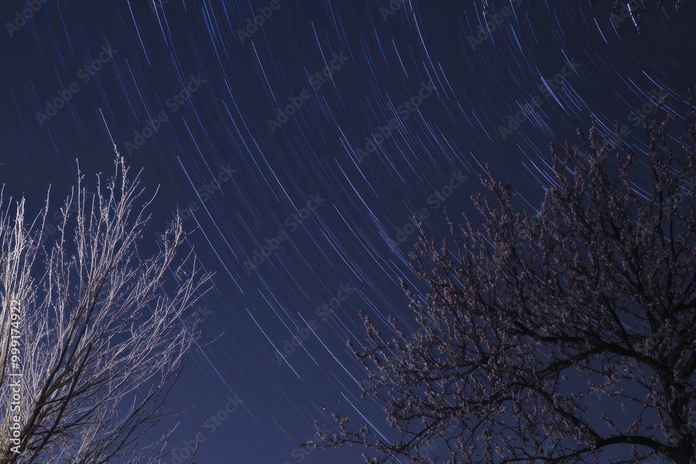 night sky, star trails, long exposure photo of a starry night, silhouettes of trees against a dark blue background, cosmic beauty, serene nature, celestial images night sky, star trails, long exposure photo of a starry night, silhouettes of trees against a dark blue background, cosmic beauty, serene nature, celestial images