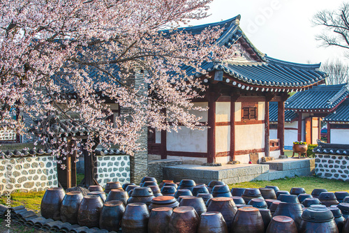 Yesan-gun, Chungcheongnam-do, South Korea - April 3, 2020: Cherry blossoms and crocks(Jangdok) at Daeheungdongheon.  Jangdok is jar to contain soy sauce or red pepper paste photo