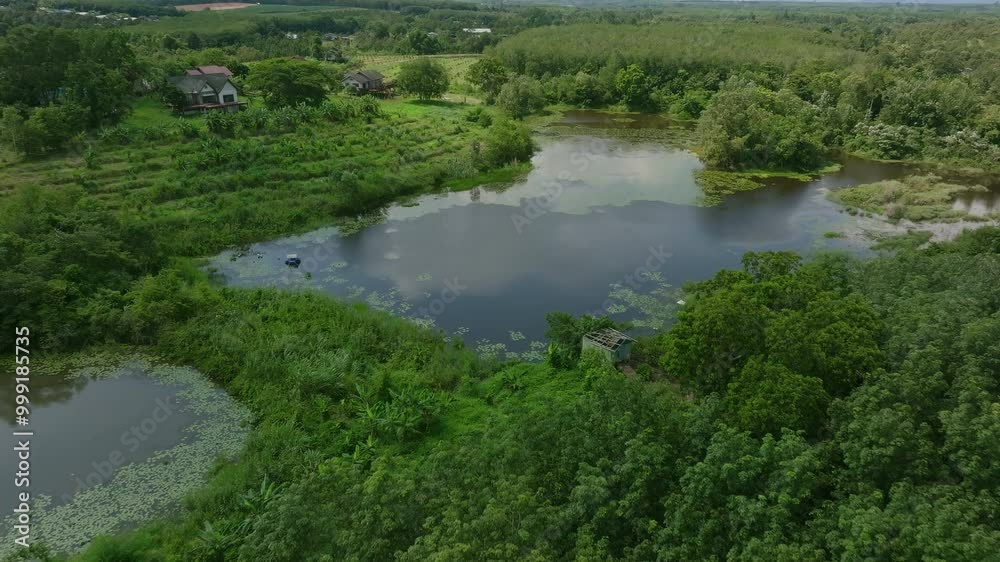 Exploring a Serene Natural Landscape With a Tranquil Pond Surrounded by Lush Greenery in Early Summer Exploring a Serene Natural Landscape With a Tranquil Pond Surrounded by Lush Greenery in Early Summer
