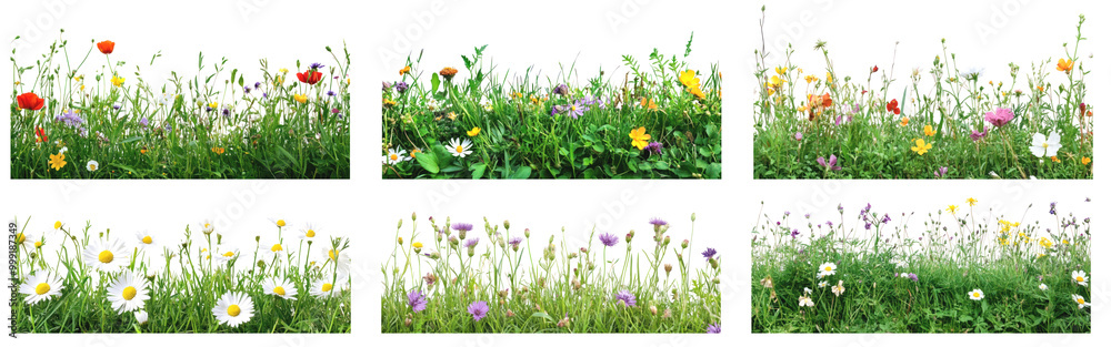 Fototapeta premium Wildflower border png cut out element set