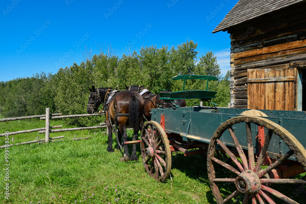 Two horses harnessed to a carriage, surrounded by lush greenery in a historic setting.
Two horses harnessed to a carriage, surrounded by lush greenery in a historic setting.