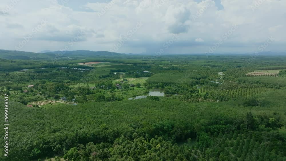 Aerial View of Lush Green Landscape and Serene Pond in Rural Countryside During Midday Aerial View of Lush Green Landscape and Serene Pond in Rural Countryside During Midday