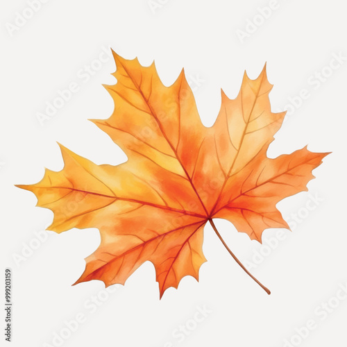 Vibrant autumn maple leaf illustration