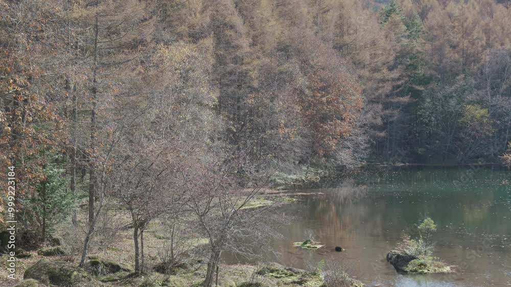 信州 御射鹿池の紅葉 信州 御射鹿池の紅葉