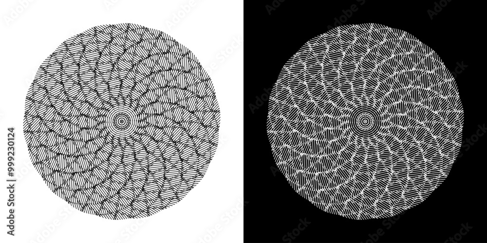 Abstract background with abstract line pattern in circles. Spiral art design as a logo or icon. A black figure on a white background and the same white figure on a black side. Mandala design with line Abstract background with abstract line pattern in circles. Spiral art design as a logo or icon. A black figure on a white background and the same white figure on a black side. Mandala design with line