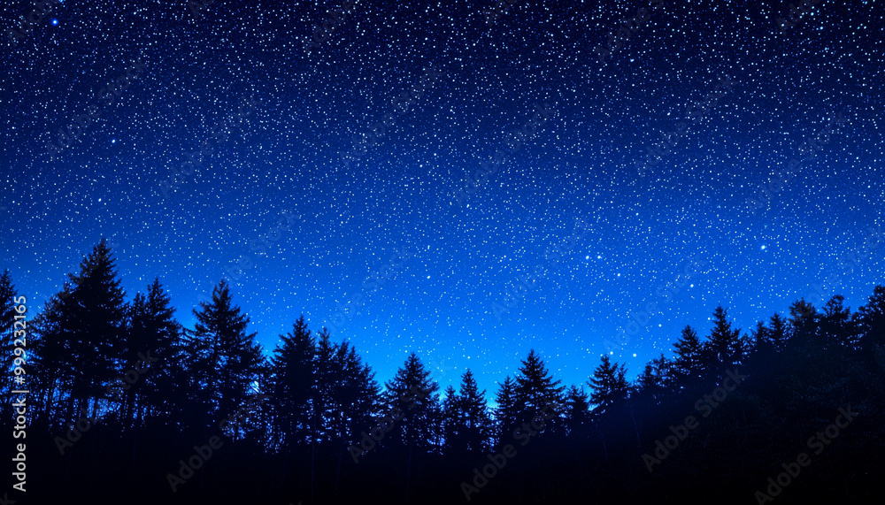 Naklejka premium A serene night sky filled with stars, framed by silhouettes of tall trees, creating a tranquil and awe-inspiring atmosphere.