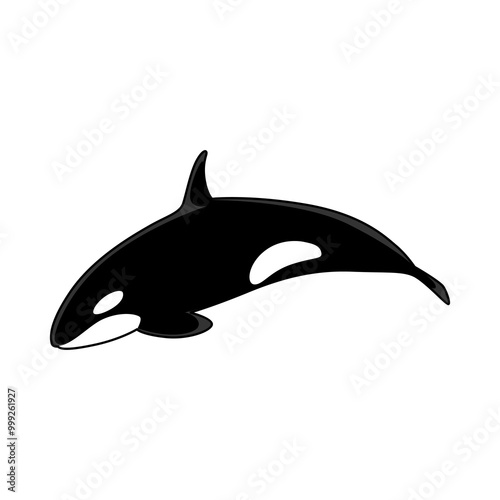 cartoon vector illustration orca whale