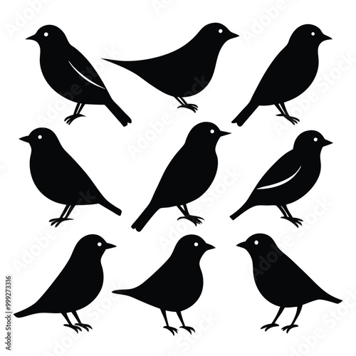 Set of Solid color Mourning Warbler animal vector design