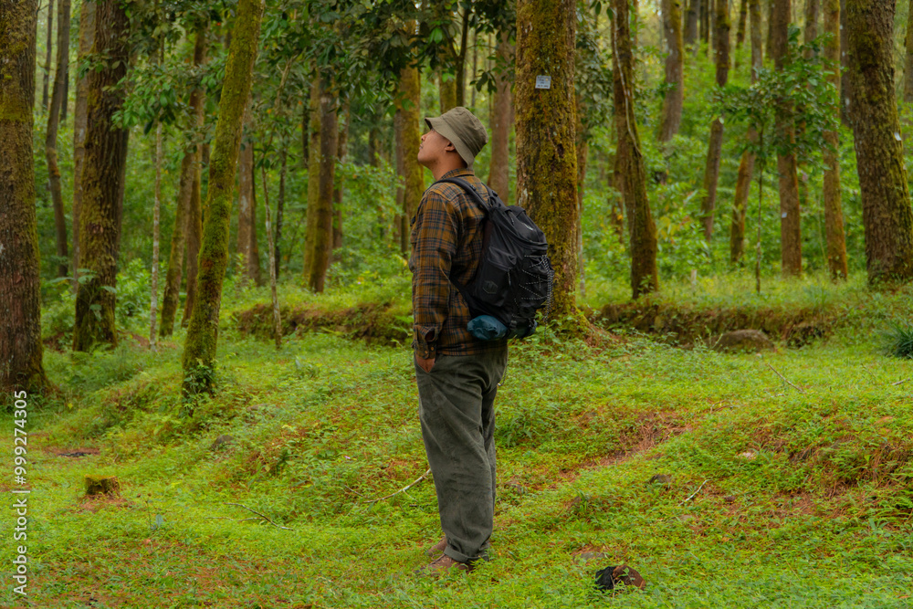 Asian man in adventure outfit in dense and green pine forest area. An adventurer in a flannel shirt, bucket hat, and backpack poses against a backdrop of dense pine trees. Asian man in adventure outfit in dense and green pine forest area. An adventurer in a flannel shirt, bucket hat, and backpack poses against a backdrop of dense pine trees.