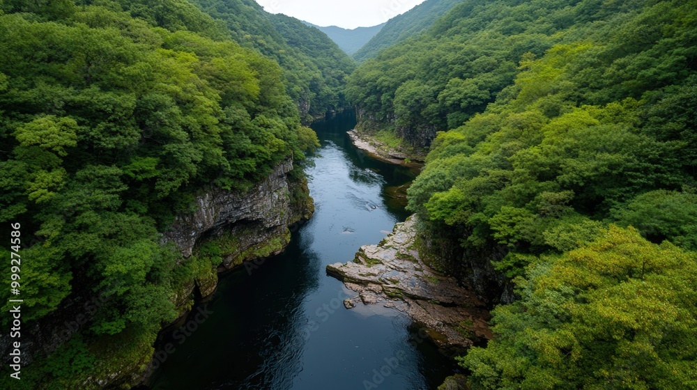 自然愛好家のためのポスターのための、日本の緑豊かな美しい川の渓谷 自然愛好家のためのポスターのための、日本の緑豊かな美しい川の渓谷