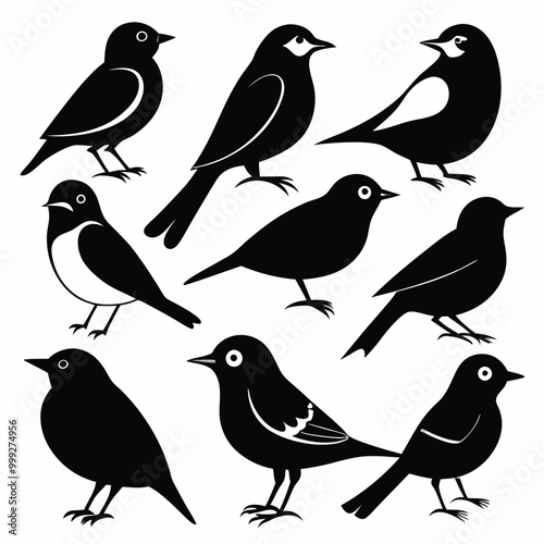 Set of Solid color Mourning Warbler animal vector design