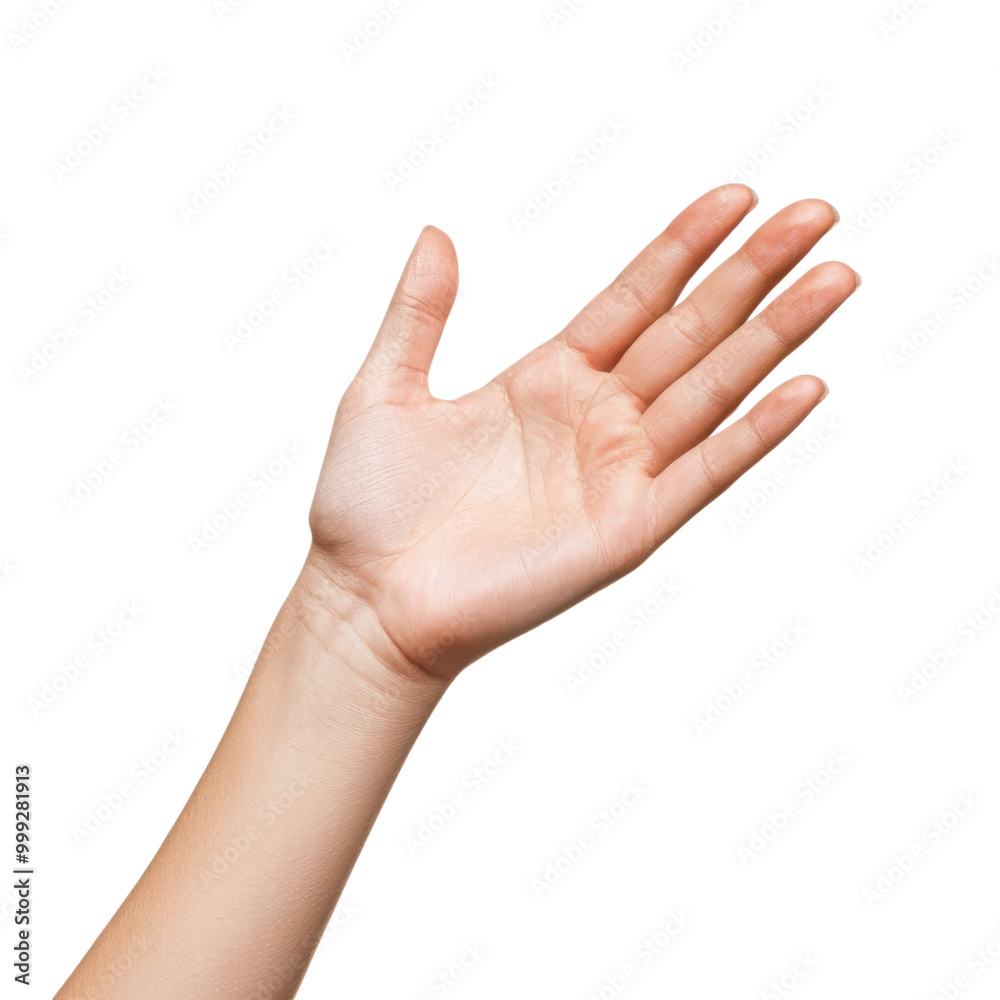 A close-up of an open hand palm up, showcasing grace and invitation in a gesture. A close-up of an open hand palm up, showcasing grace and invitation in a gesture.