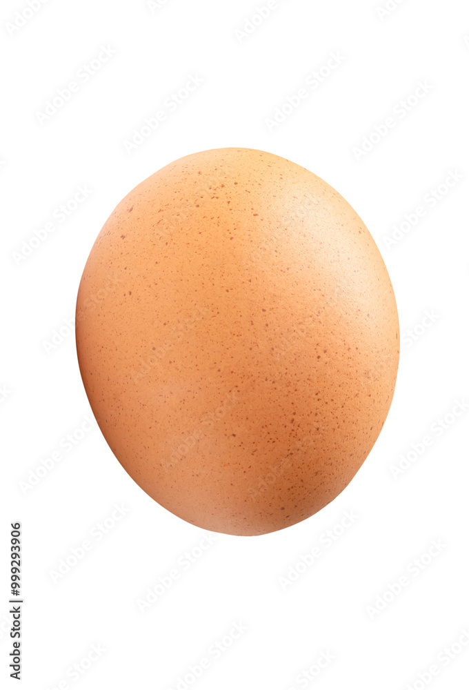 Top view of single brown chicken egg isolated on white background with clipping path Top view of single brown chicken egg isolated on white background with clipping path
