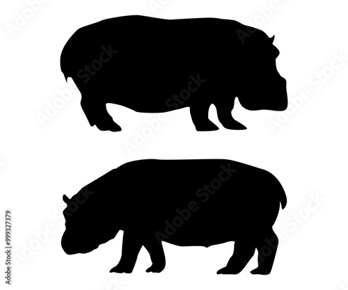 Hippopotamus silhouette on white background.