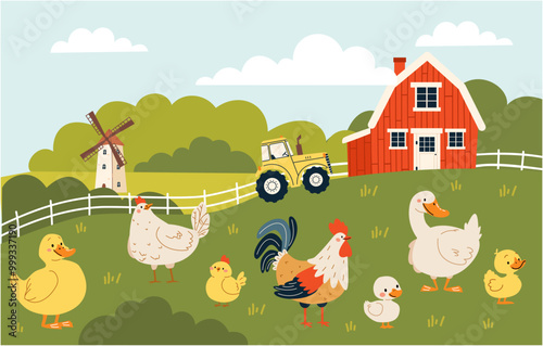 Flat vector illustration in children's style. Field and farm landscape, domestic birds, hen rooster duck goose goose chicken duckling goose duckling goose chick. Vector illustration