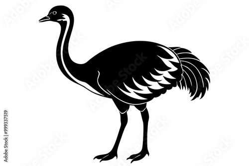 Emu silhouette vector, ostrich emu bird vector illustration 