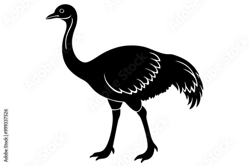 Emu silhouette vector, ostrich emu bird vector illustration 