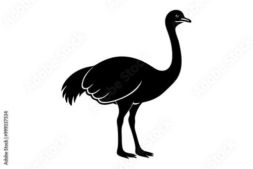 Emu silhouette vector, ostrich emu bird vector illustration 