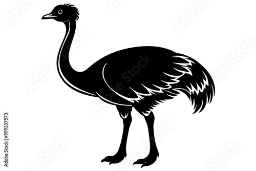Emu silhouette vector, ostrich emu bird vector illustration 