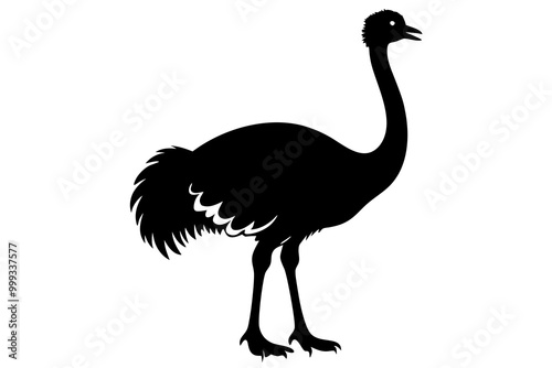 Emu silhouette vector, ostrich emu bird vector illustration 