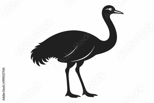 
Emu bird vector silhouette, ostrich emu bird vector illustration 