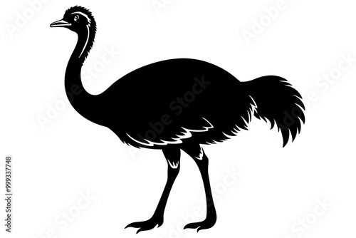 Emu silhouette vector, ostrich emu bird vector illustration 