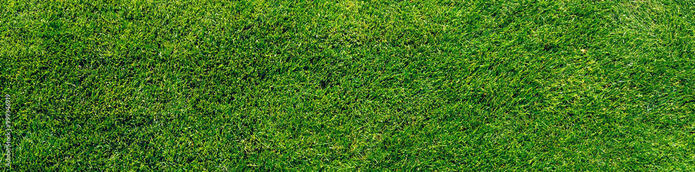 Freshly Mowed Green Grass Lawn Texture Background Freshly Mowed Green Grass Lawn Texture Background