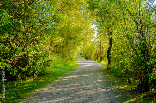 Matsqui Trail along the Fraser River bank near Mission Bridge, Fraser Valley, BC, Canada