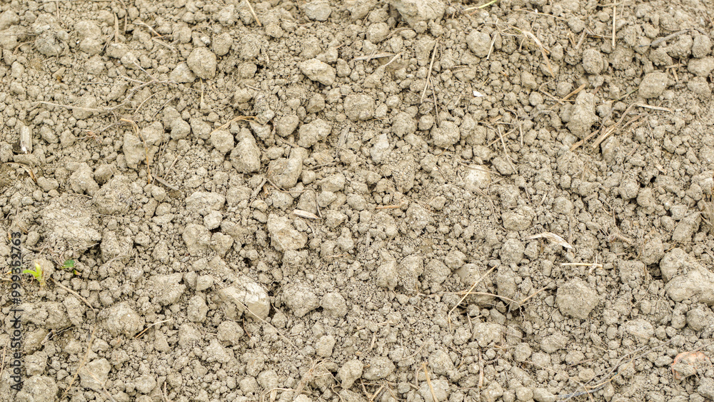 Bangladesh field. Cropland soil. Fine-grained soil creates an artistic impression. Bangladesh field. Cropland soil. Fine-grained soil creates an artistic impression.
