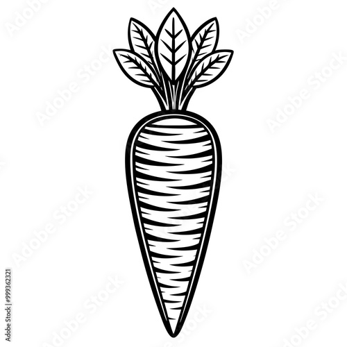 Carrot line art vector