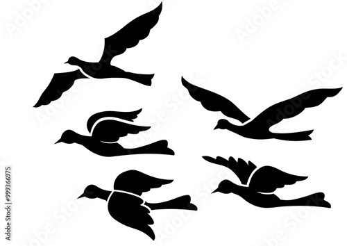 set of silhouettes of birds