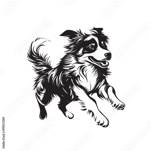 Vector silhouette of dog on white background.cdr