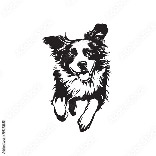 Vector silhouette of dog on white background.cdr