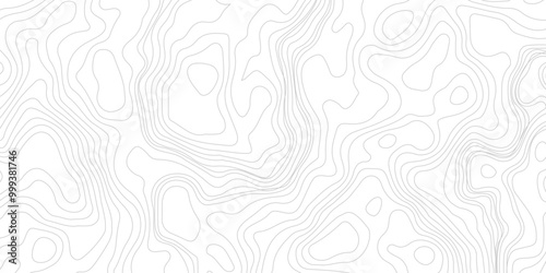 Topographic line map patterns. Gray Contour and texture geographic cartography terrain isolated on white drop. Horizontal banner. Vector illustration.