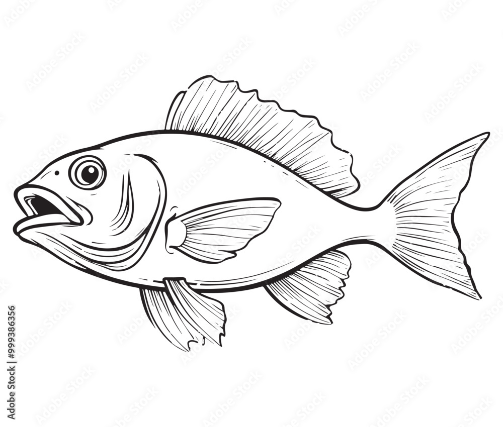 Illustration of a fish, Outline cod fish, Vector fish Illustration of a fish, Outline cod fish, Vector fish