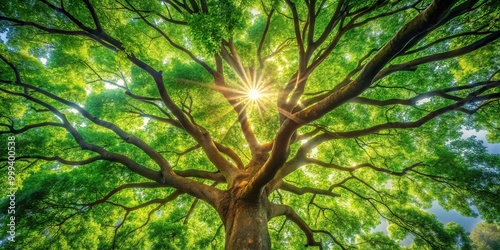 A vibrant tree illuminated by sunlight from above