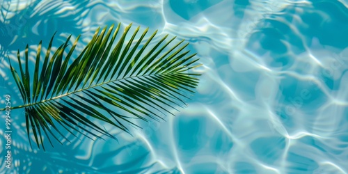 A palm frond casts a shadow over the glistening, rippling surface of a pool on a sunny day, highlighting serene water patterns photo