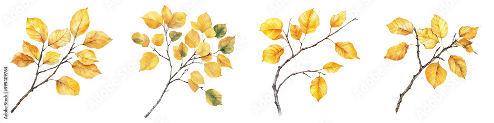 Vibrant Autumn Leaves in Warm Golden and Orange Hues Hanging on Bare Branches Against a White Background Showcasing the Changing Seasons of Nature Vibrant Autumn Leaves in Warm Golden and Orange Hues Hanging on Bare Branches Against a White Background Showcasing the Changing Seasons of Nature
