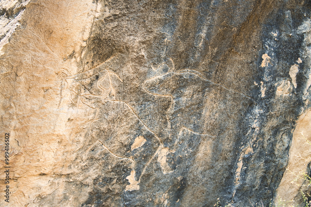Fototapeta premium ゴブスタン国立保護区の古代岩絵の景観