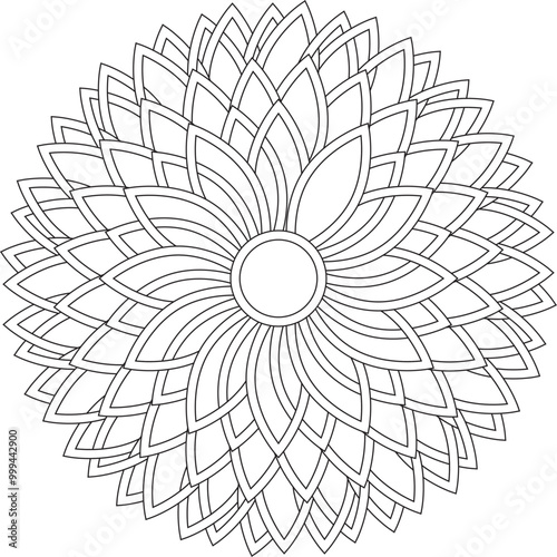 Geometric Floral Flower Botanical Detailed Mandala Adult Coloring Page Intricate Circular Pattern Zentangle