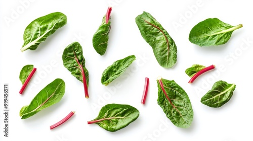 Wallpaper Mural Swiss Chard Leaves and Stems Floating Isolated on White Background Generative AI Torontodigital.ca