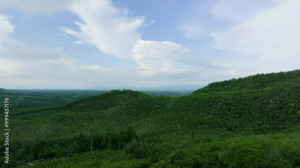 Discover Lush Green Hills and Vibrant Landscapes During a Serene Nature Exploration in Early Afternoon Light Discover Lush Green Hills and Vibrant Landscapes During a Serene Nature Exploration in Early Afternoon Light